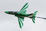 Saudi Hawks